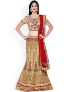 Mermaid Lehenga