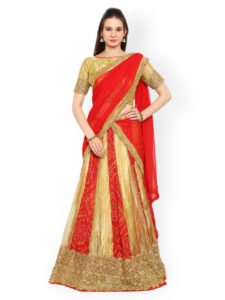 Panelled Lehenga Choli