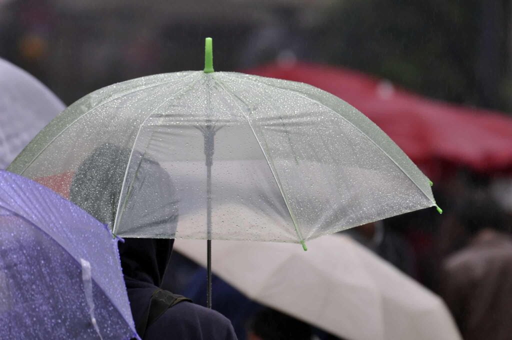 Umbrella Umbrella