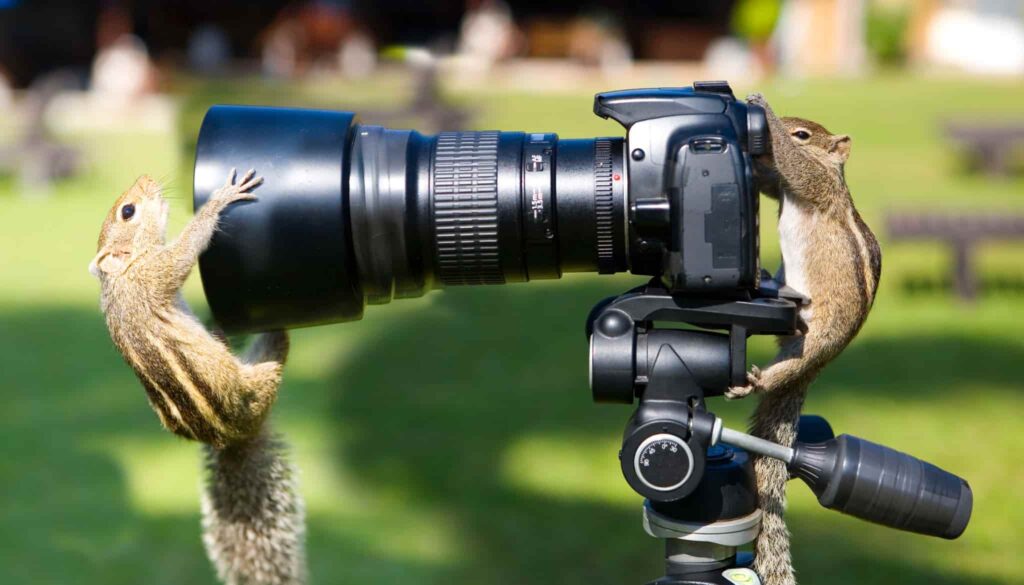 Types of Photography You Would Love To Know About