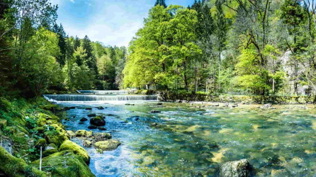 Nature Photography