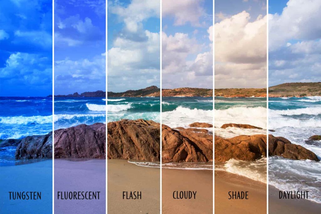 Check Your White Balance