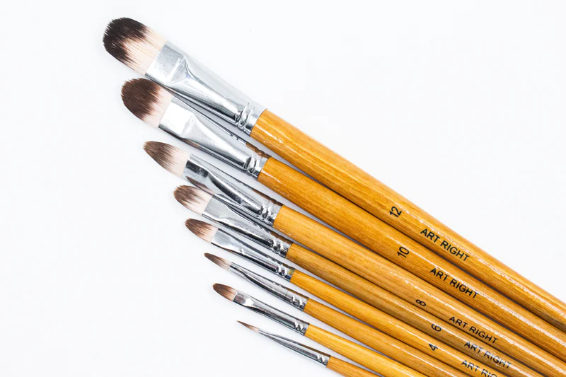 10. Filbert Brush 10. Filbert Brush - Types of Paintbrush