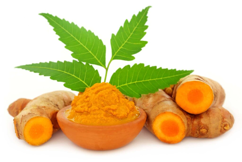 7. Neem and Turmeric Paste 7. Neem and Turmeric Paste