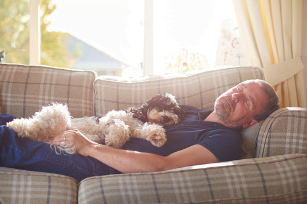 3. Reduce Long or irregular daytime naps 3. Reduce Long or irregular daytime naps