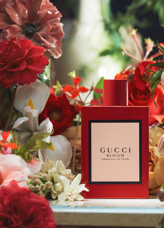 5. Luxury Perfume 5. Luxury PerfumeÂ