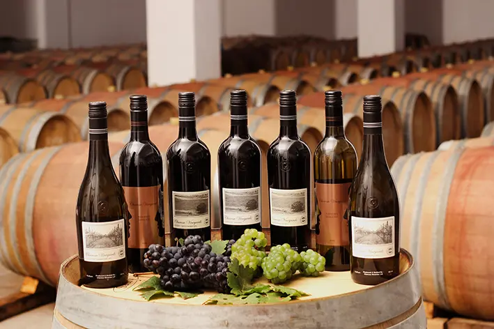 charosa wine brand in India charosa wine brand in India - Best Wine Brands