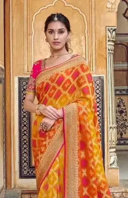 Shattir Banarasi Saree