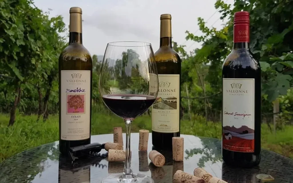 Vallonne wine brands in India Vallonne wine brands in India - Best Wine Brands