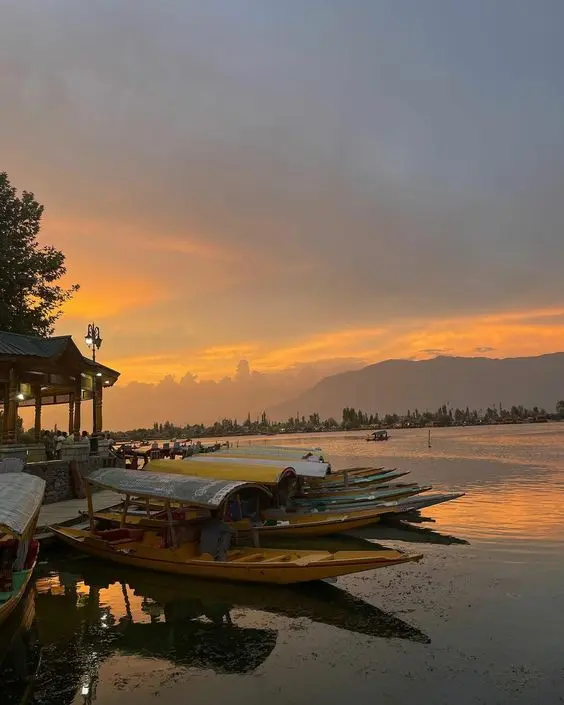 Srinagar - Valentine's Day Escapes